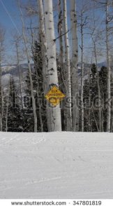 Aspen, Colorado. Image available to purchase via www.shutterstock.com