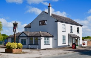 Photoshoot for Equestrian Trade News